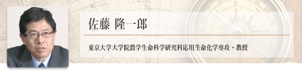 banner_faculty_sato3